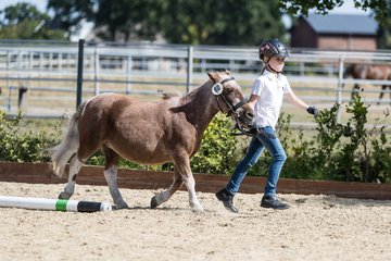Bild 169 - Pony Akademie Turnier